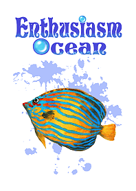 Enthusiasm Ocean