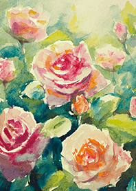 Beautiful rose flower(R4624)