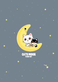 Cats Moon Sky Universe
