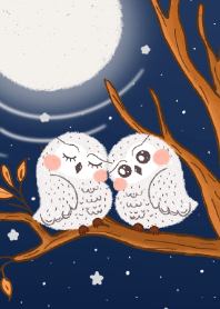 The Moonlight and Owls Couple