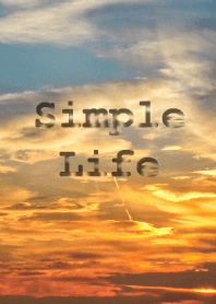 Simple Life 13