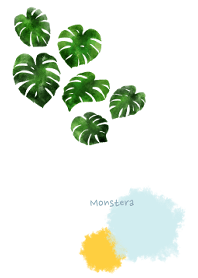 Monstera...