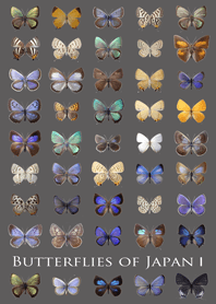 Butterflies of Japan -1-