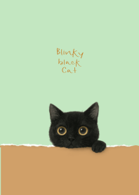 Blinky Black Cat (Light Brown and Green)