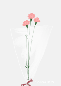 Cute Carnation