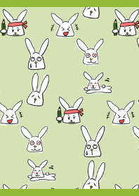 happy rabbit02 on MG