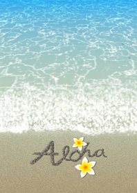 ハワイ＊ALOHA+0