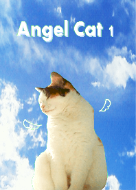 Angel Cat 1