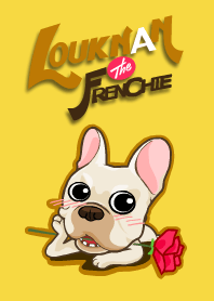 Louknann the frenchie