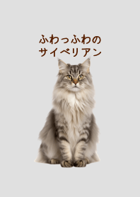 ふわっふわのサイベリアン猫の着せかえ