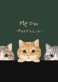 Meow - Munchkin - CHRISTMAS GREEN