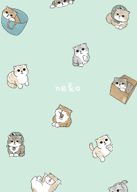 neko combo5 / mint cream