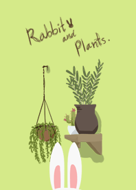Rabbit and Plants