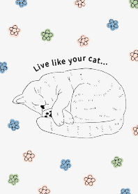 Live like your cat