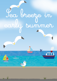 カモメと初夏の海岸