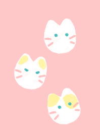 mozzi cat