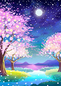 Beautiful night cherry blossoms#1209