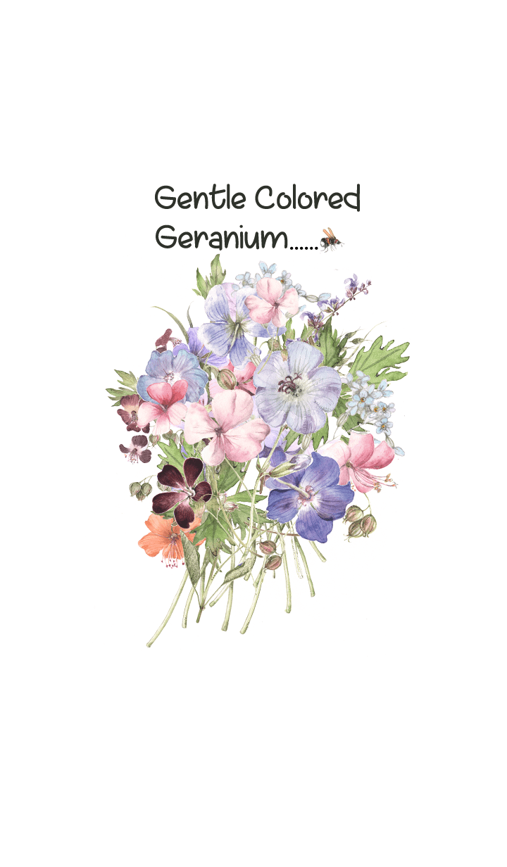 gentle colored geranium