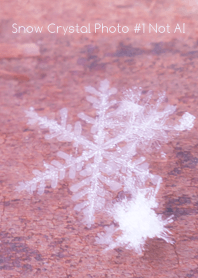Snow Crystal Photo #1-23Not AI