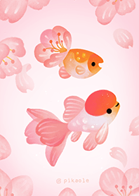 ปลาทองดอกเชอร์รี่