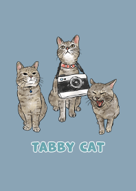 tabbycat11 - pale blue