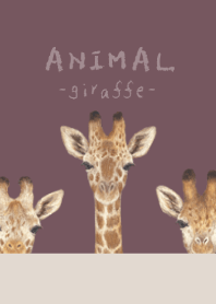 ANIMAL - Giraffe - DUSTY ROSE