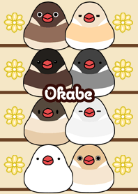 Okabe Round and cute Java sparrow