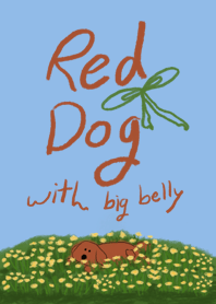 Red dog with big belly