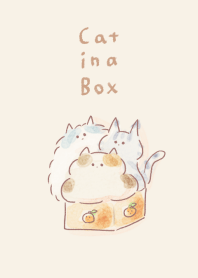 Simple Boxed Cat Beige.