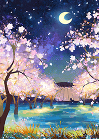 Beautiful night cherry blossoms#450