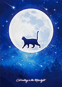 Cat walking in the moonlight 5*