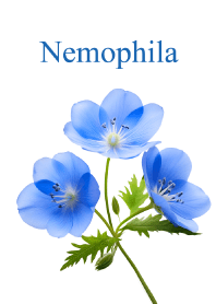"Nemophila vol.5" theme