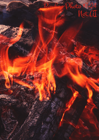 Bonfire Photo #7-24 Not AI