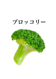 ブロッコリーです