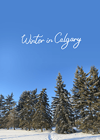 Winter in Calgary (9)