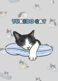 tuxedocat4 / light grey