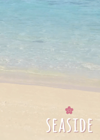 海濱 櫻花'粉色的'