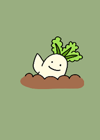 Hello, healthy radish
