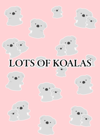 LOTS OF KOALAS/PINK