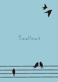 Swallows*