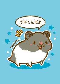 Hamster "Buchi-kun"
