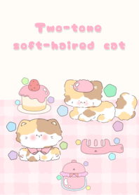Two-tone soft-haired cat