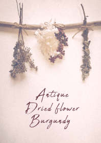 Antique Dried flower_burgundy