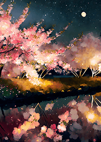 Beautiful night cherry blossoms#1067