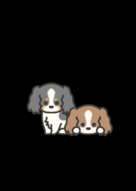 キャバリア＊ダークモード