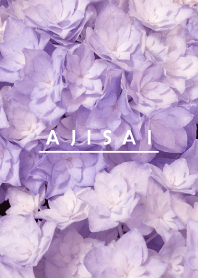 AJISAI-Purple Flower MEKYM