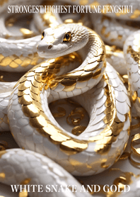 White snake and gold  Lucky 24