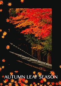 AUTUMN LEAF SEASON