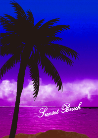 Sunset Beach 312