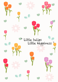 Mini colorful tulips 5